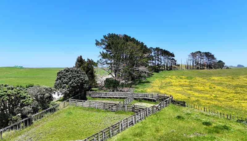 Lot 2, Scottys Camp Road, Dargaville