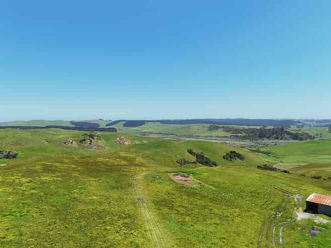 Lot 2, Scottys Camp Road, Dargaville