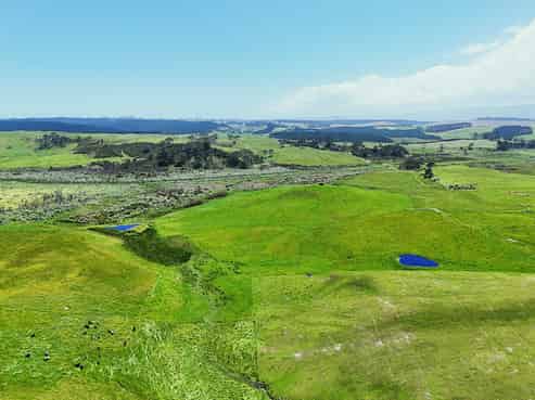 Lot 2, Scottys Camp Road, Dargaville