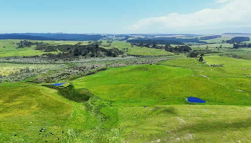 Lot 2, Scottys Camp Road, Dargaville