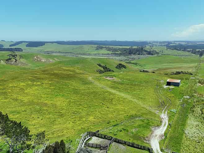 Lot 2, Scottys Camp Road, Dargaville