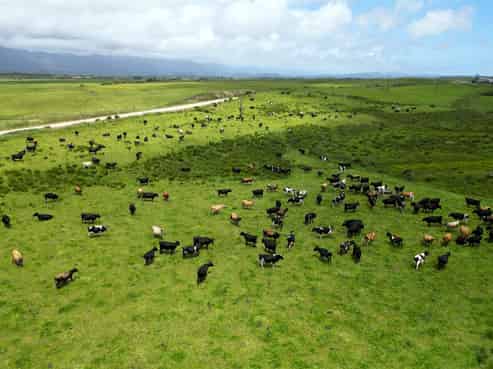  118 Bulls Road, Westport