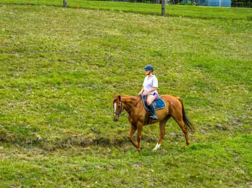 3 Mahurangi East Road, Sandspit