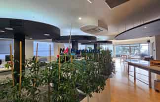 Stunning Elevated Offices with Sea Views