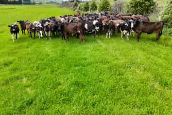 200 Caroline Valley Road, Caroline