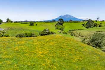 32C Bird Road, Egmont National Park