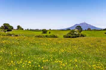 32C Bird Road, Egmont National Park