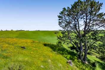 32C Bird Road, Egmont National Park