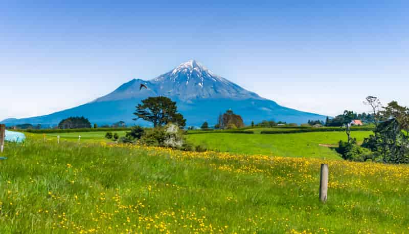 32C Bird Road, Egmont National Park
