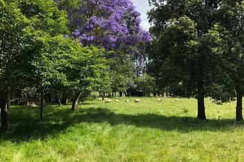 2 West Beach Road, Mohaka
