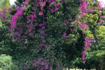 2 West Beach Road, Mohaka