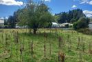 15 Ettrick Street, Nightcaps, Southland, Southland