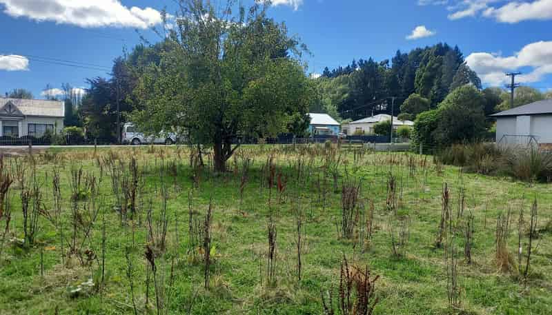 15 Ettrick Street, Nightcaps