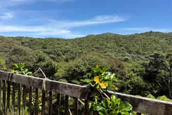 661 Whangaparapara Road, Great Barrier Island