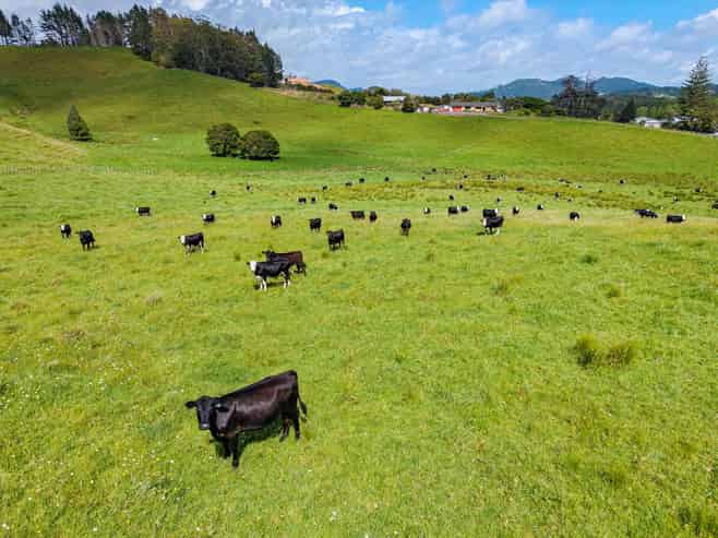 54 Harris Road, Glenbervie