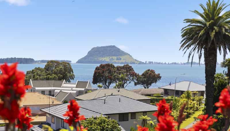 3 Levers Road, Matua