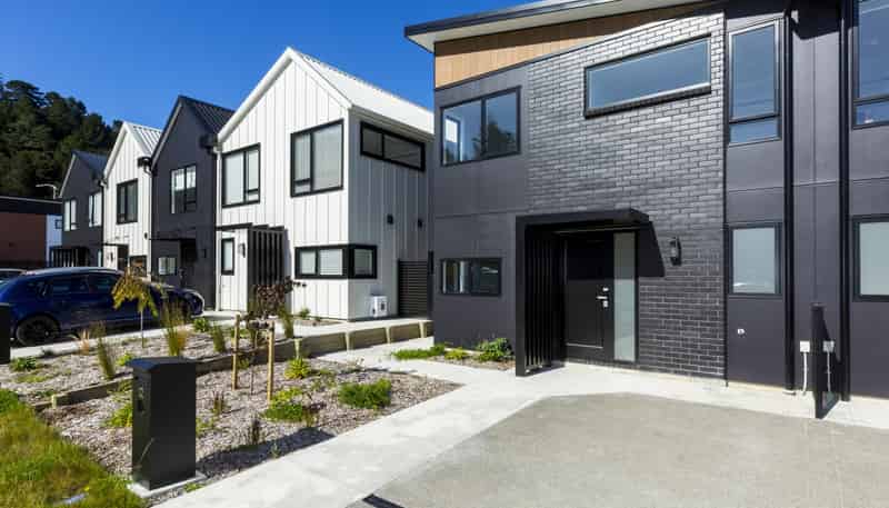 12 Betty Boyes Street, Wallaceville