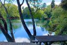 665 River Road, Broadlands Forest, Taupo, Central North Island