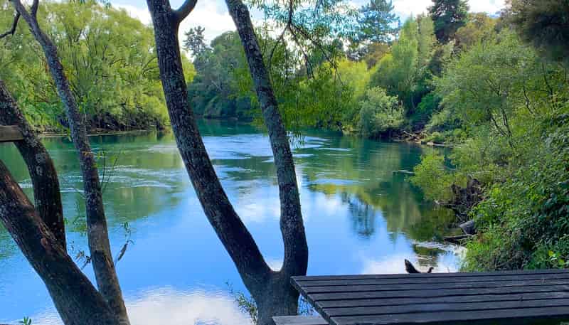 665 River Road, Broadlands Forest