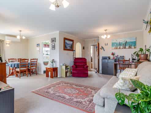 19 Te Punga Place, Awapuni