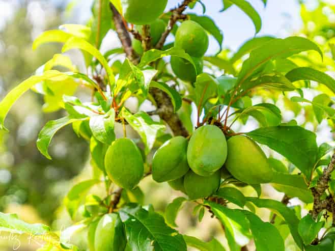 43 Gorge Road, Maungaturoto