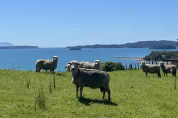 599 Mahurangi East Road, Algies Bay