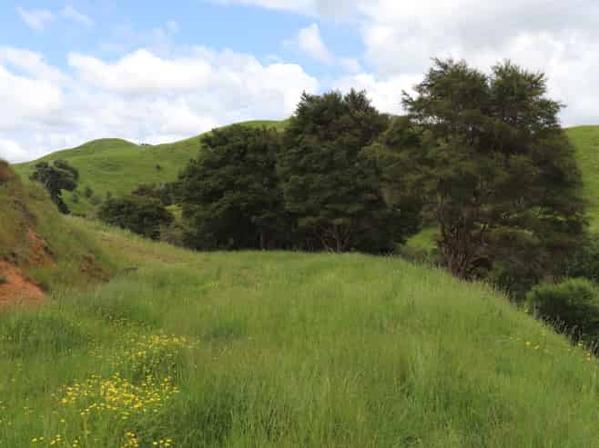 995 Waingaro Road, Ngaruawahia