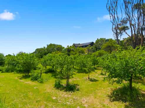 234 Te Hapua Road, Te Horo