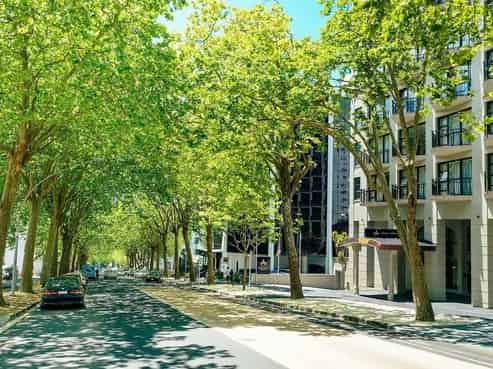 10D/100 Greys Avenue, Auckland Central