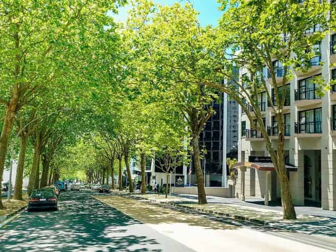 10D/100 Greys Avenue, Auckland Central