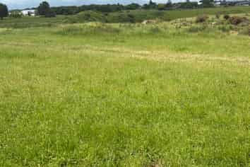 33F Airport Drive, New Plymouth Central