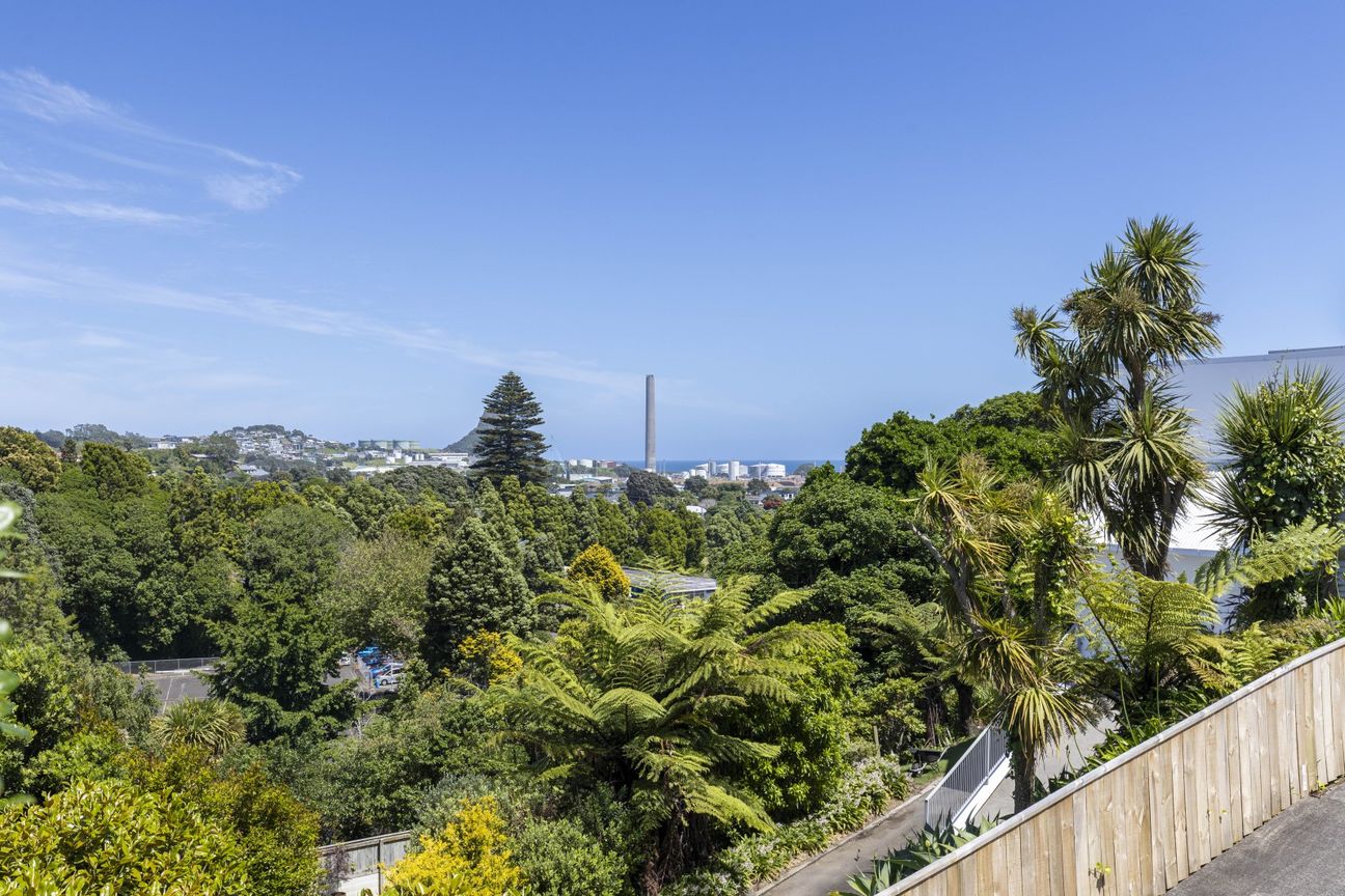 RENOVATED AND ELEVATED WITH VIEWS - Vista 5