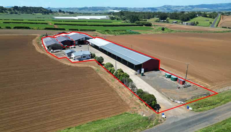 29 Dazeley Road, Pukekohe