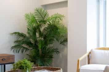 1/14 Brougham , New Plymouth