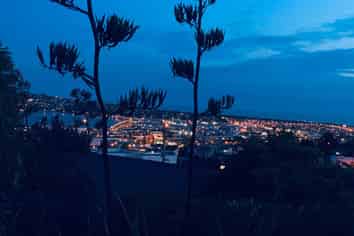 47 Russell Street, Dunedin Central