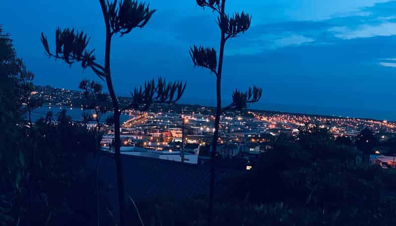 47 Russell Street, Dunedin Central