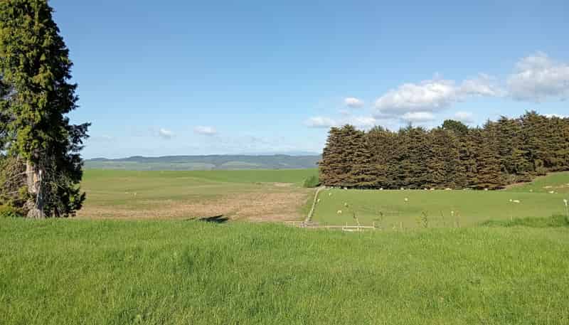 55 Otahu-Eastern Bush Road, Eastern Bush