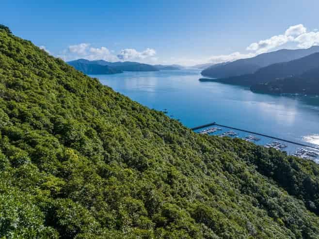 Lot 18, Waikawa Bay, Waikawa