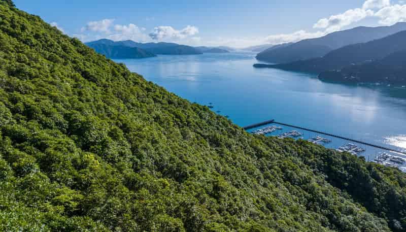 Lot 18, Waikawa Bay, Waikawa