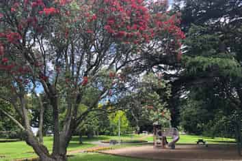 52A Carlton Gore Road, Grafton