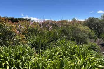 524H Paierau Road, Opaki