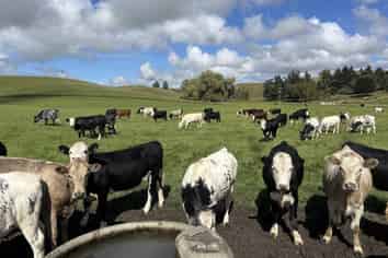 518 Elephant Hill Road, Waimate