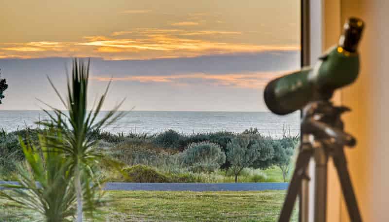 401 Ormond Drive, Mahia