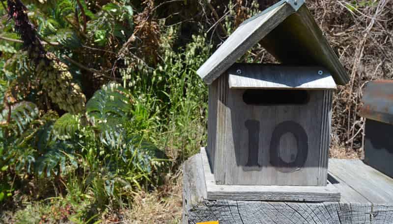 10 Elizabeth Street, Bluff