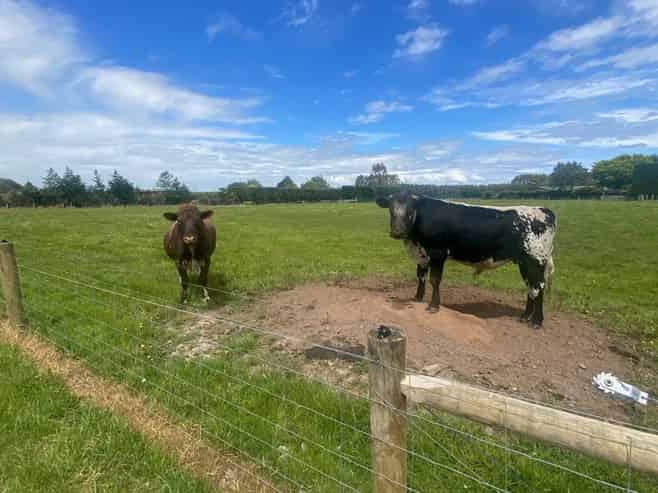 Lot 2, 120 Orion Road East, Makarewa