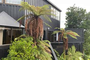 120 Stanmore Bay Road, Stanmore Bay