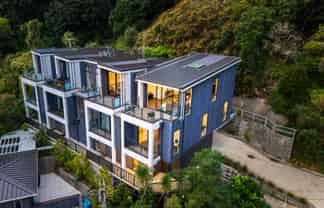 C/1 Wilkinson Street, Oriental Bay