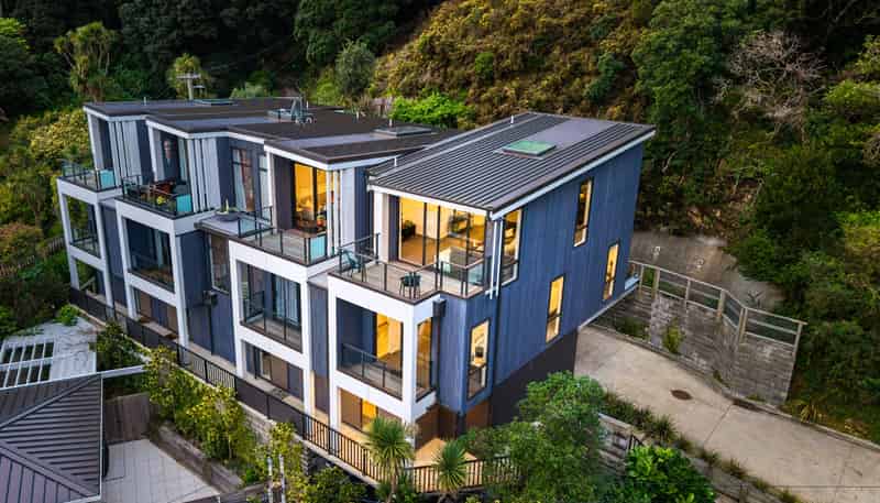 C/1 Wilkinson Street, Oriental Bay