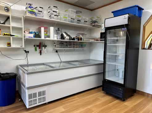 WORK AND LIVE/INVESTMENT OPPORTUNITY