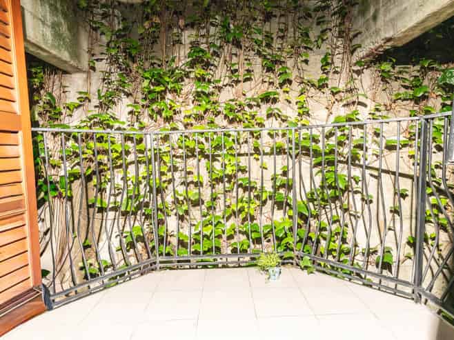 2A/23 Emily Place, Auckland Central